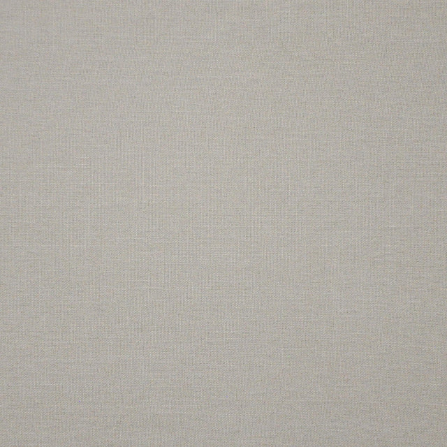 Maxwell YOJI #503 FEATHER Fabric