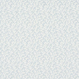 Schumacher Folly Sky Fabric