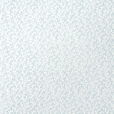 Schumacher Folly Sky Wallpaper