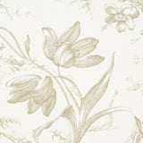 Schumacher Toile De Fleurs Birch Wallpaper