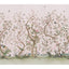 Schumacher Les Oiseaux Panel Set Blush Wallpaper