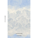 Schumacher Painted Sky Clear Blue Wallpaper
