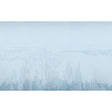 Schumacher Pascal Campion'S New York Skyline Blue Wallpaper