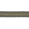 Schumacher Helena Linen Cotton Tape Fern Trim