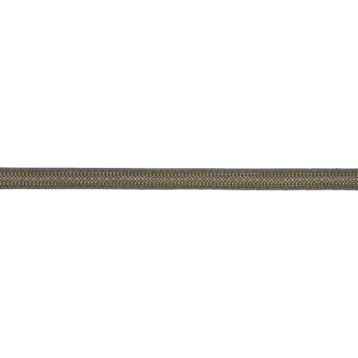 Schumacher Helena Linen Cotton Tape Fern Trim