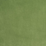 Schumacher Alistair Indoor/Outdoor Velvet Grass Fabric
