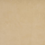 Schumacher Alistair Indoor/Outdoor Velvet Beige Fabric