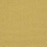 Schumacher Cooper Indoor/Outdoor Yellow Fabric