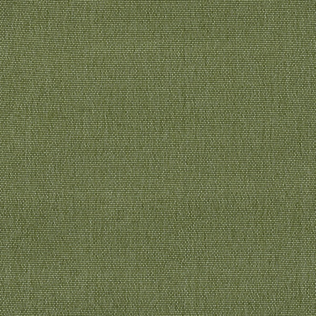 Schumacher Cooper Indoor/Outdoor Green Fabric