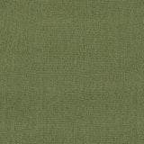 Schumacher Cooper Indoor/Outdoor Green Fabric