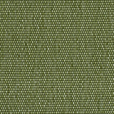 Schumacher Cooper Indoor/Outdoor Green Fabric