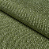 Schumacher Cooper Indoor/Outdoor Green Fabric