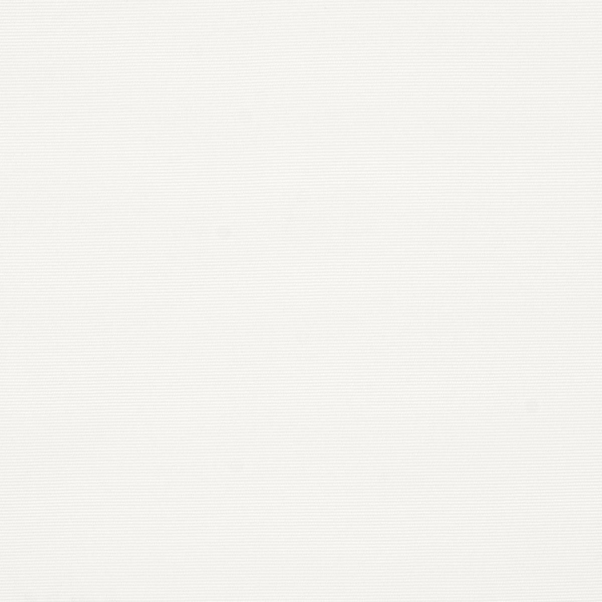 Schumacher Cooper Indoor/Outdoor White Fabric