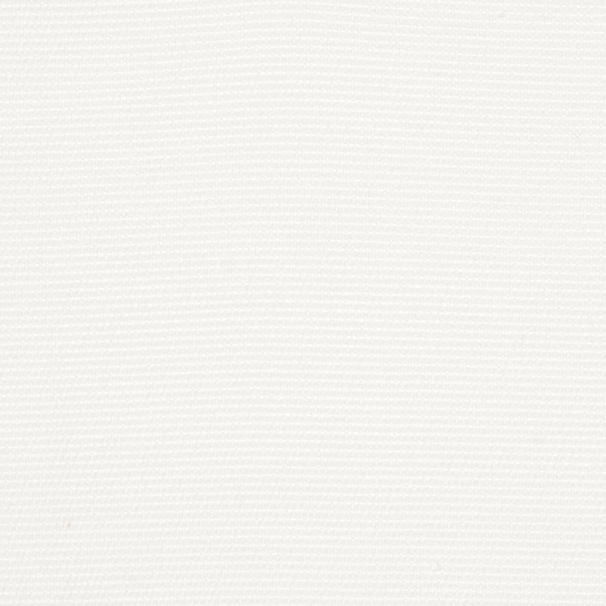Schumacher Cooper Indoor/Outdoor White Fabric