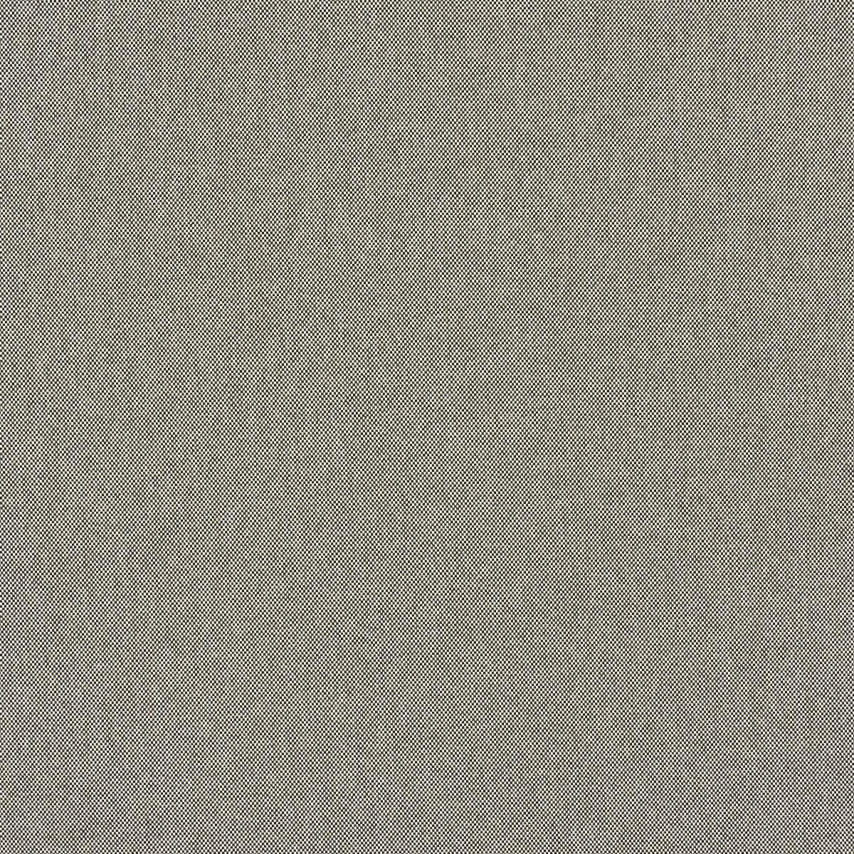 Schumacher Brock Indoor/Outdoor Black Fabric