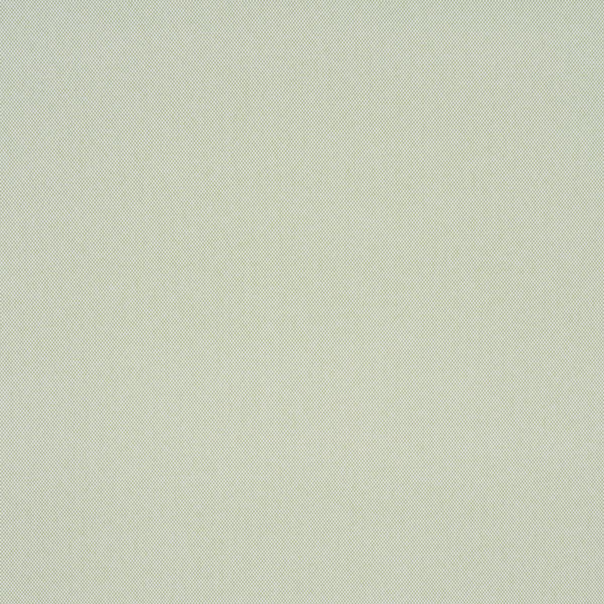 Schumacher Pippa Indoor/Outdoor Leaf Fabric