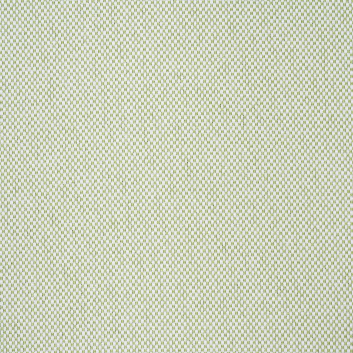 Schumacher Pippa Indoor/Outdoor Leaf Fabric