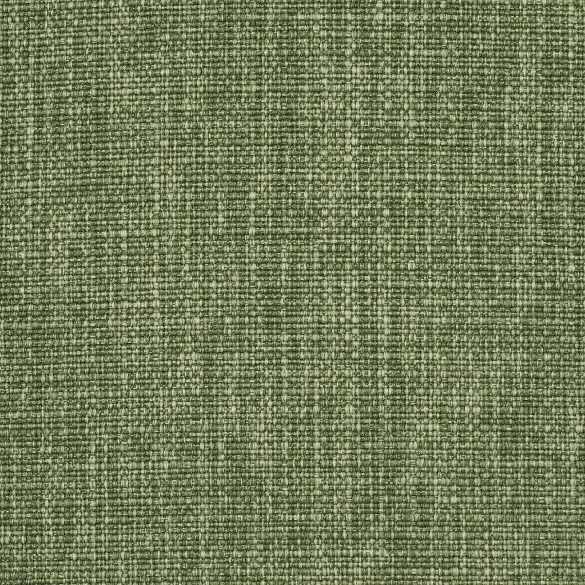 Schumacher Archie Indoor/Outdoor Green Fabric