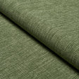 Schumacher Archie Indoor/Outdoor Green Fabric