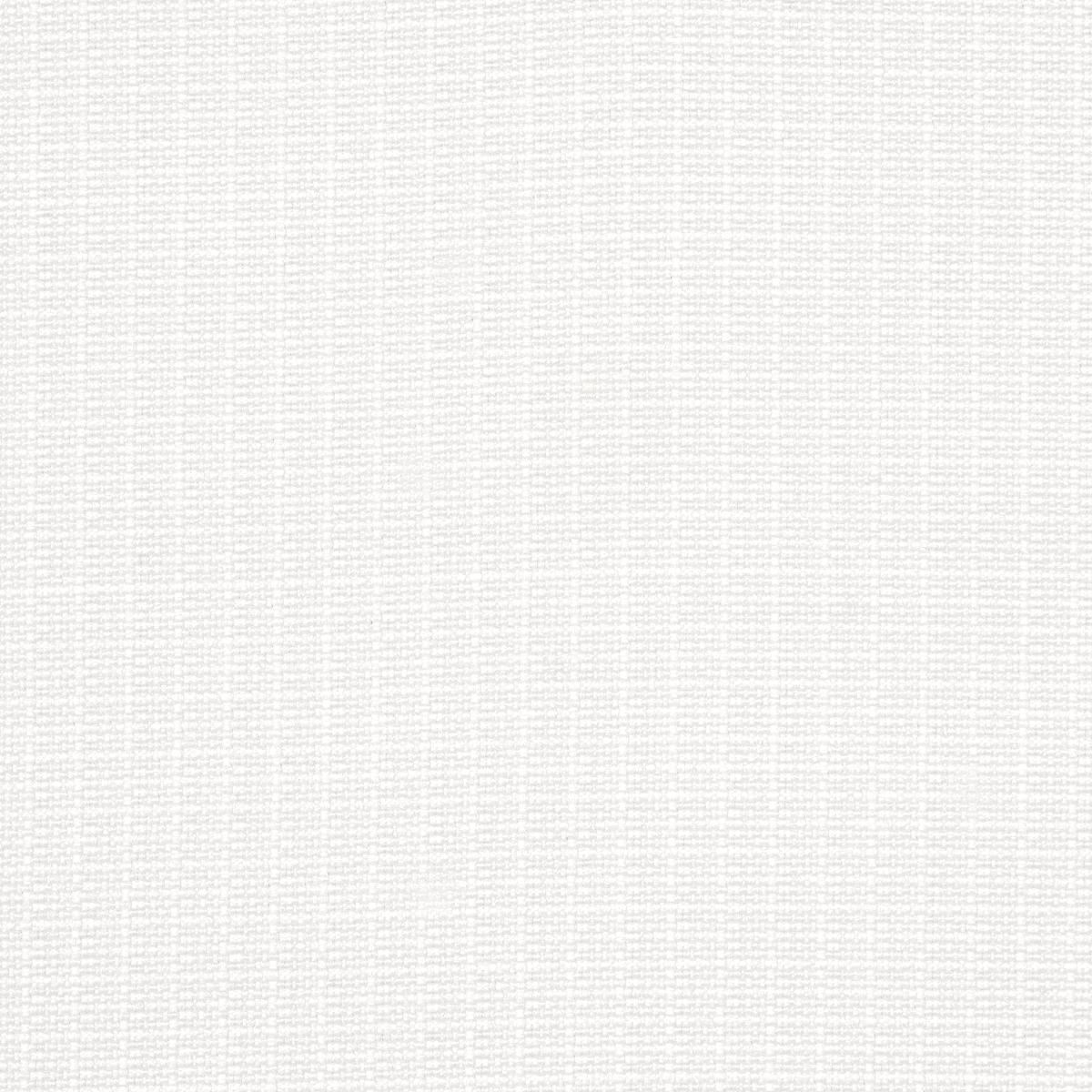 Schumacher Archie Indoor/Outdoor White Fabric