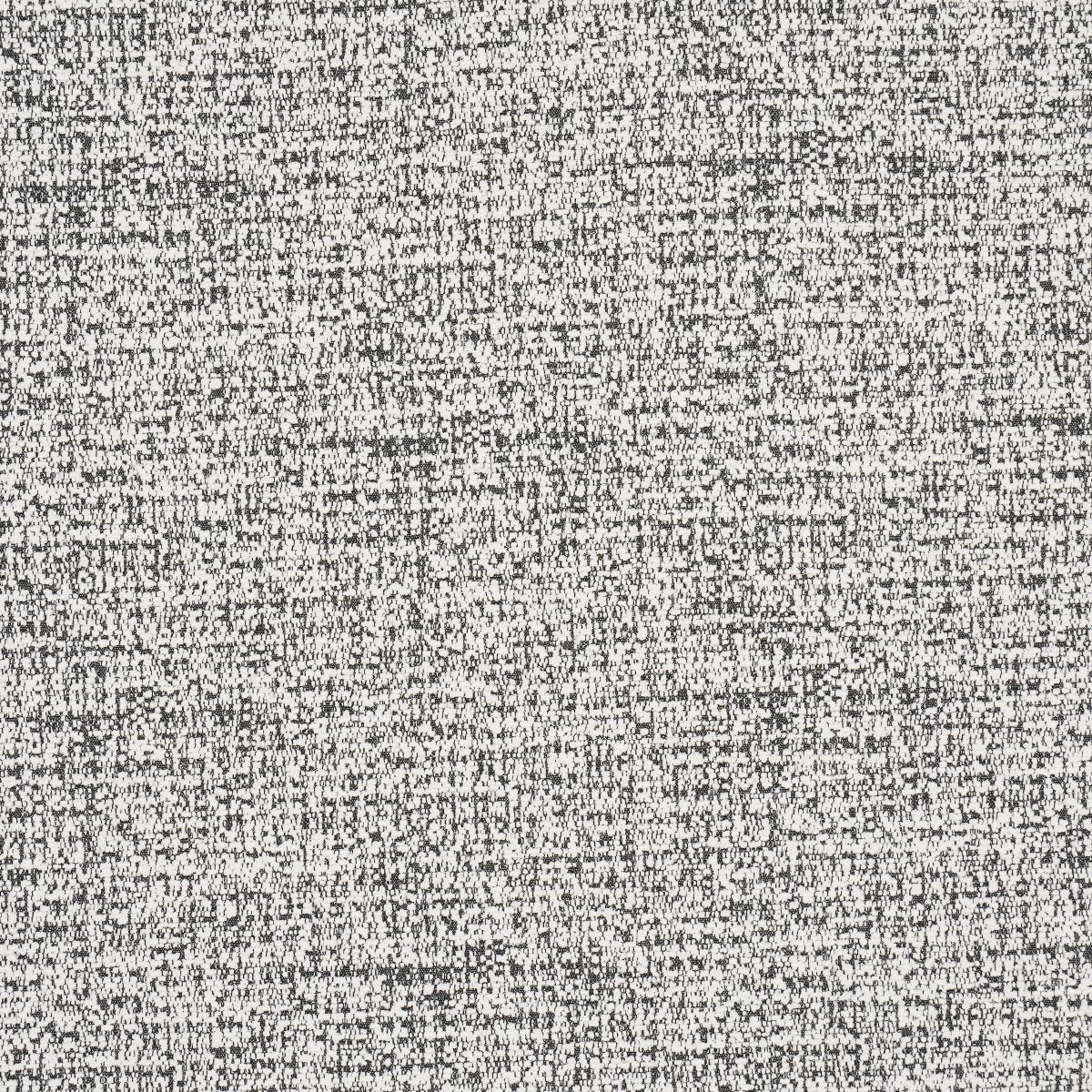 Schumacher Zuzu Indoor/Outdoor White On Black Fabric