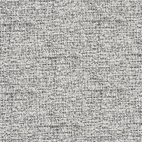 Schumacher Zuzu Indoor/Outdoor White On Black Fabric
