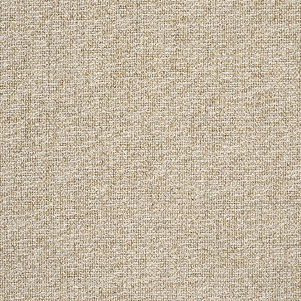 Schumacher Lily Indoor/Outdoor Natural Fabric