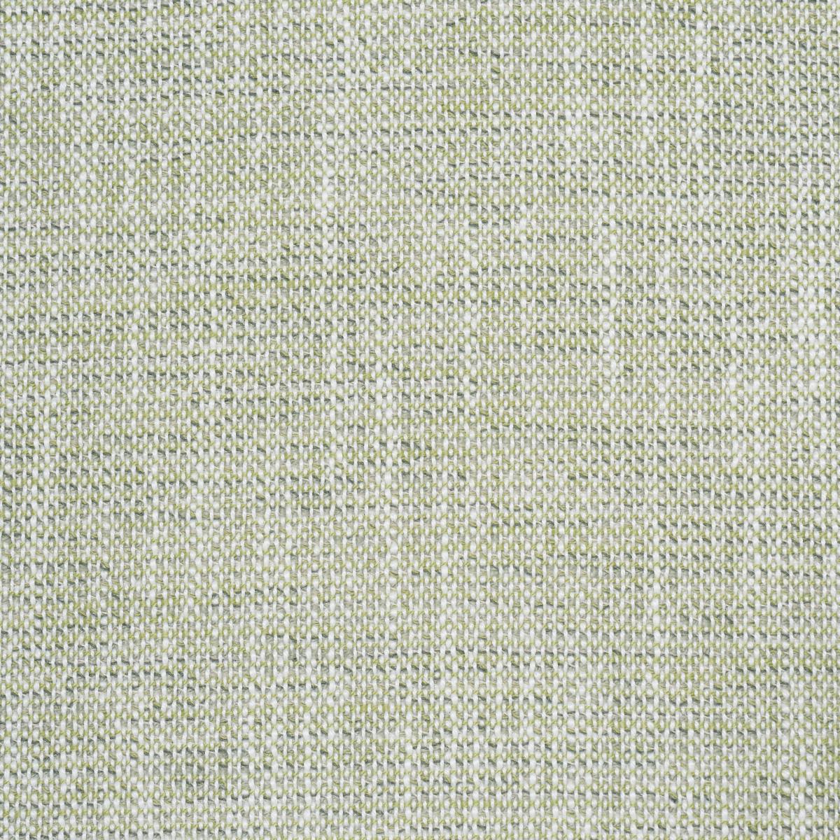 Schumacher Lily Indoor/Outdoor Sage Fabric