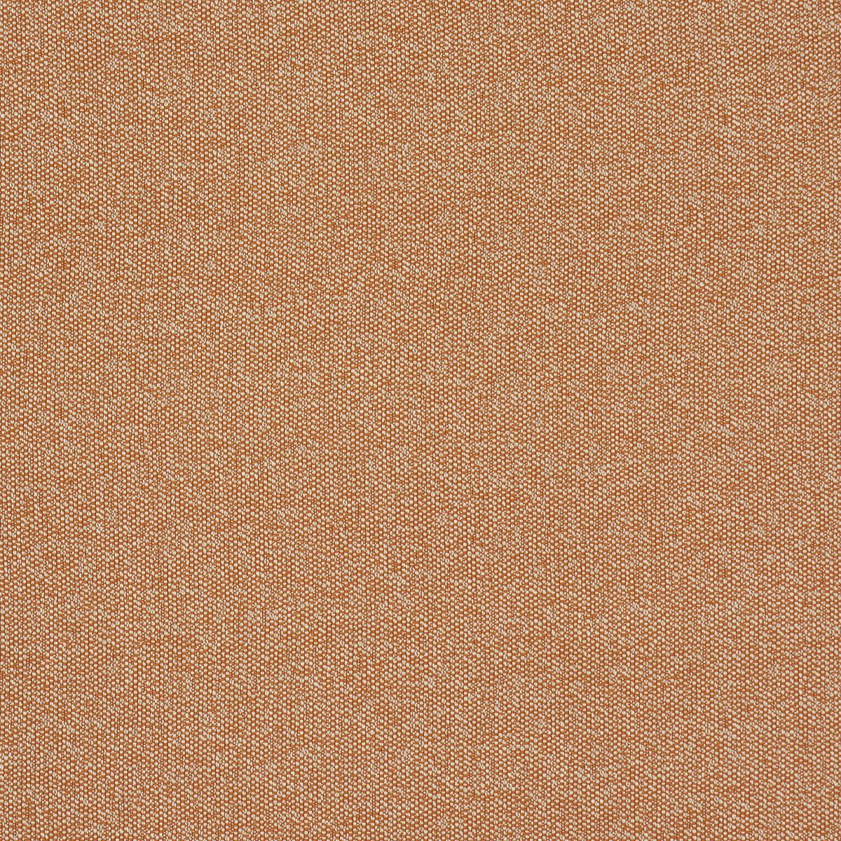 Schumacher Gus Indoor/Outdoor Orange Fabric