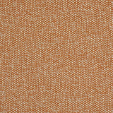 Schumacher Gus Indoor/Outdoor Orange Fabric