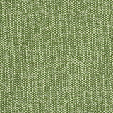 Schumacher Gus Indoor/Outdoor Grass Fabric