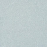 Schumacher Gus Indoor/Outdoor Sky Fabric