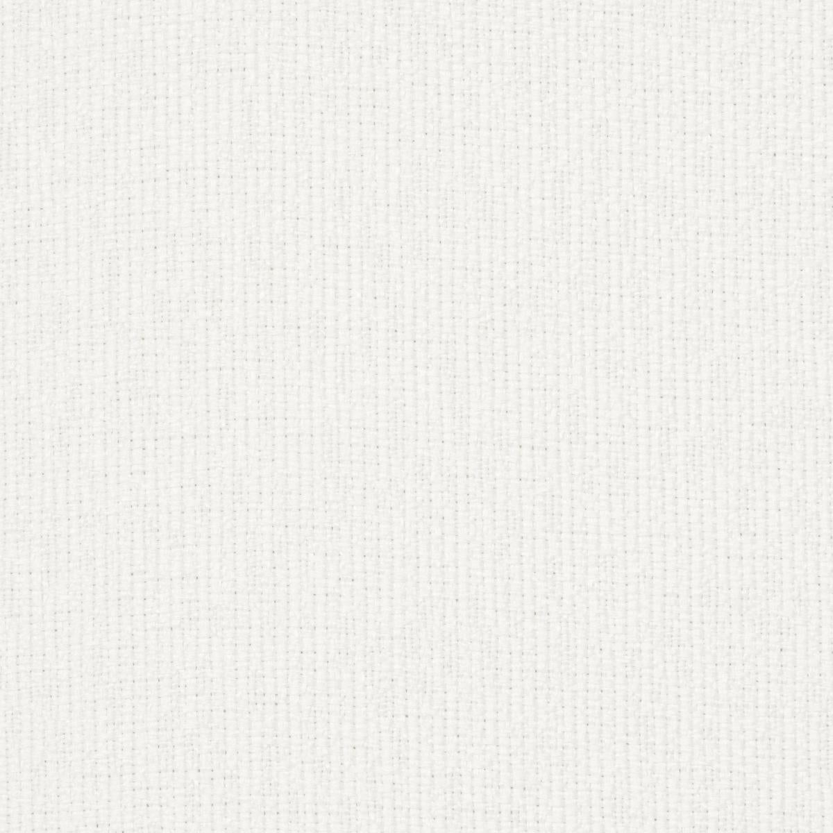 Schumacher Gus Indoor/Outdoor White Fabric