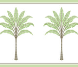 Seabrook Montgomery Palm Border Green Tea Wallpaper