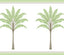 Seabrook Montgomery Palm Border Green Tea Wallpaper