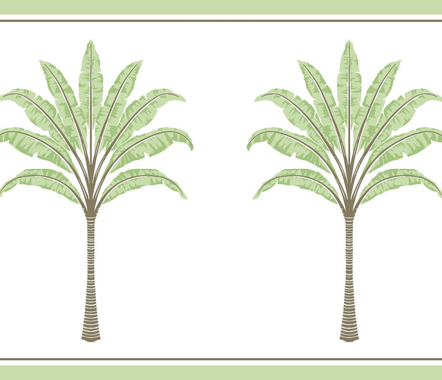 Seabrook Montgomery Palm Border Green Tea Wallpaper