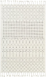 Surya Agadir AGD-1000 2' x 3' Rug