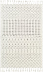 Surya Agadir AGD-1000 2' x 3' Rug