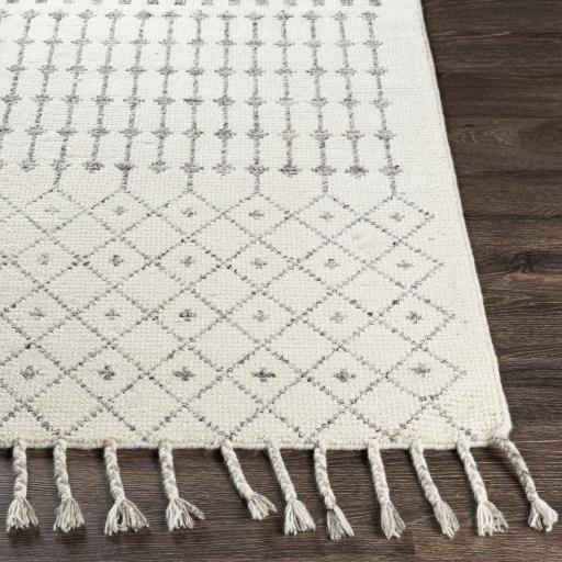 Surya Agadir AGD-1000 2' x 3' Rug