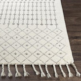 Surya Agadir AGD-1000 2' x 3' Rug