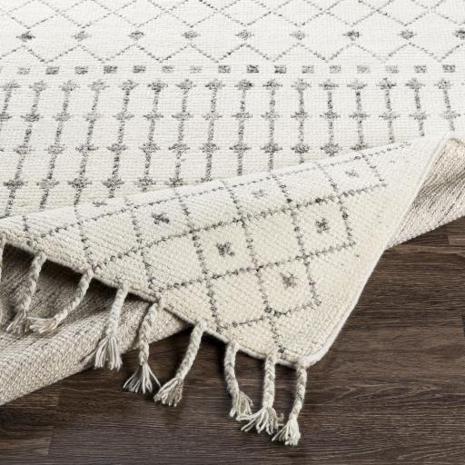 Surya Agadir AGD-1000 2' x 3' Rug