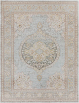 Surya Antioch AIC-2326 2' x 2'11" Rug