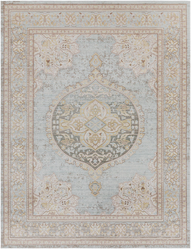 Surya Antioch AIC-2326 2' x 2'11" Rug