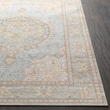 Surya Antioch AIC-2326 Gray Seafoam 2' x 2'11" Rug