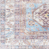 Surya Amelie AML-2321 2' x 2'11" Rug