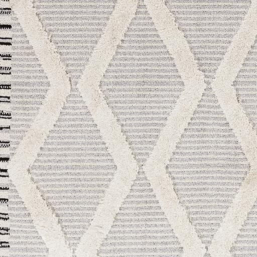 Surya Azilal AZI-2317 2'7" x 7'3" Rug