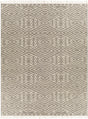 Surya Bedouin BDO-2308 2' x 3' Rug