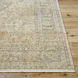 Surya Renaissance BORI-2300 6'5" x 8'10" Rug
