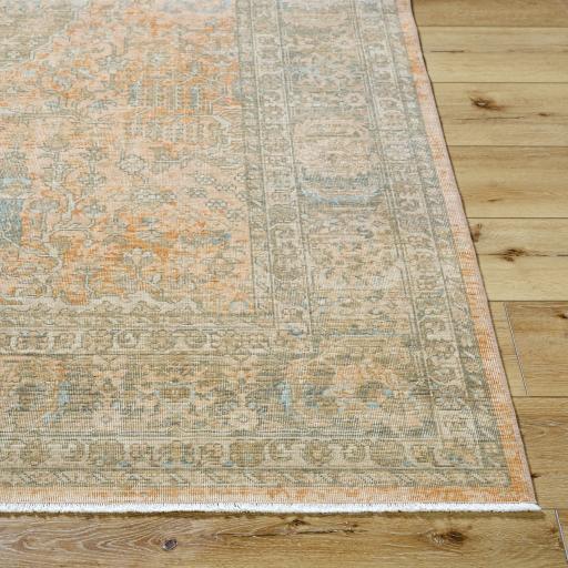 Surya Renaissance BORI-2301 1'11" x 2'11" Rug