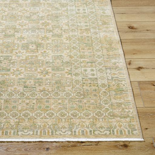Surya Renaissance BORI-2304 7'10" x 9'10" Rug